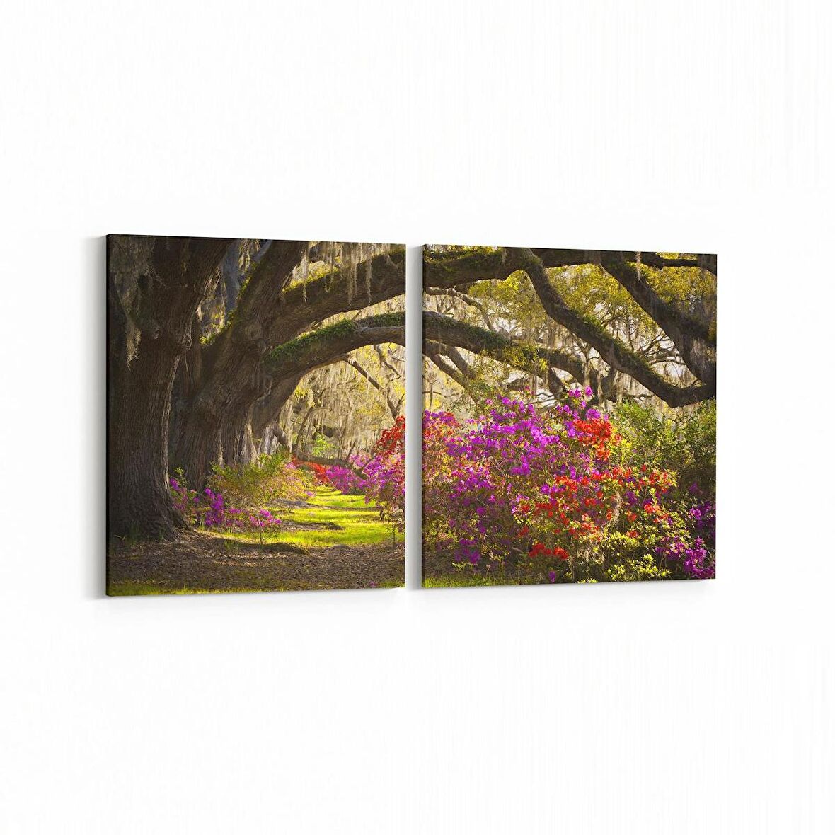 Olla 14629K2Y Doğa / Manzara Görseli Kare 2'li Yatay Kanvas Tablo (Ölçü: 65X30)