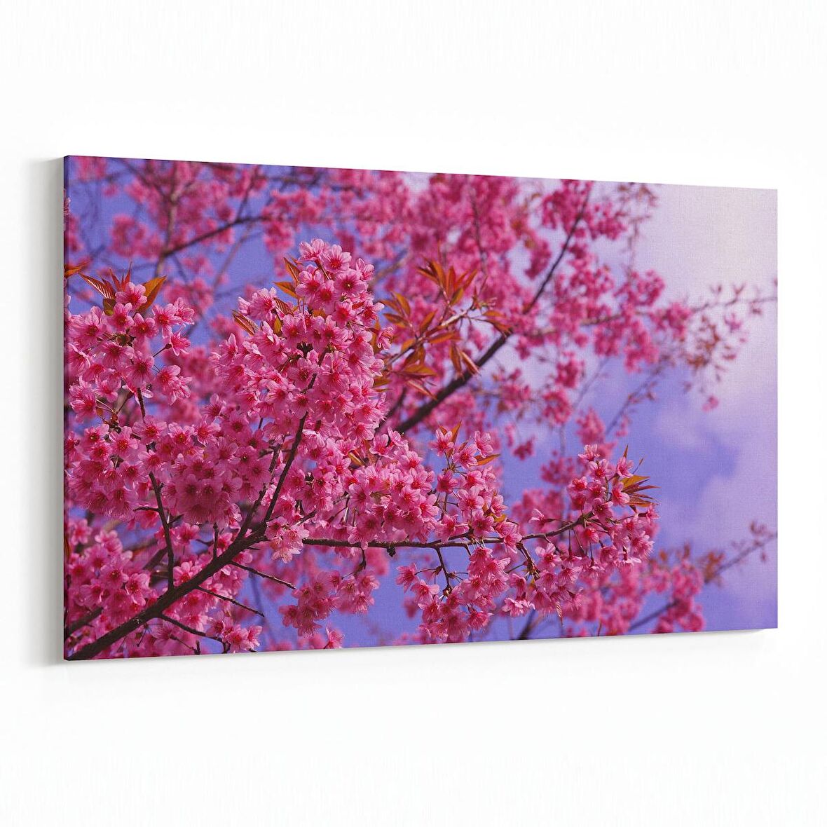 Olla 10895Y Ağaç Görseli Yatay Kanvas Tablo (Ölçü: 70X50)