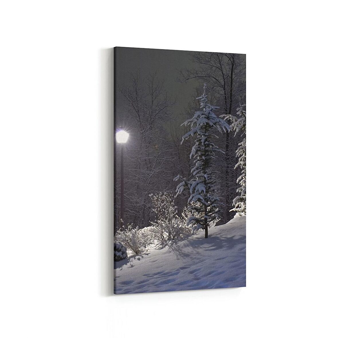 Olla 14217DD Doğa / Manzara Görseli Dikey Dar Kanvas Tablo (Ölçü: 30X60)