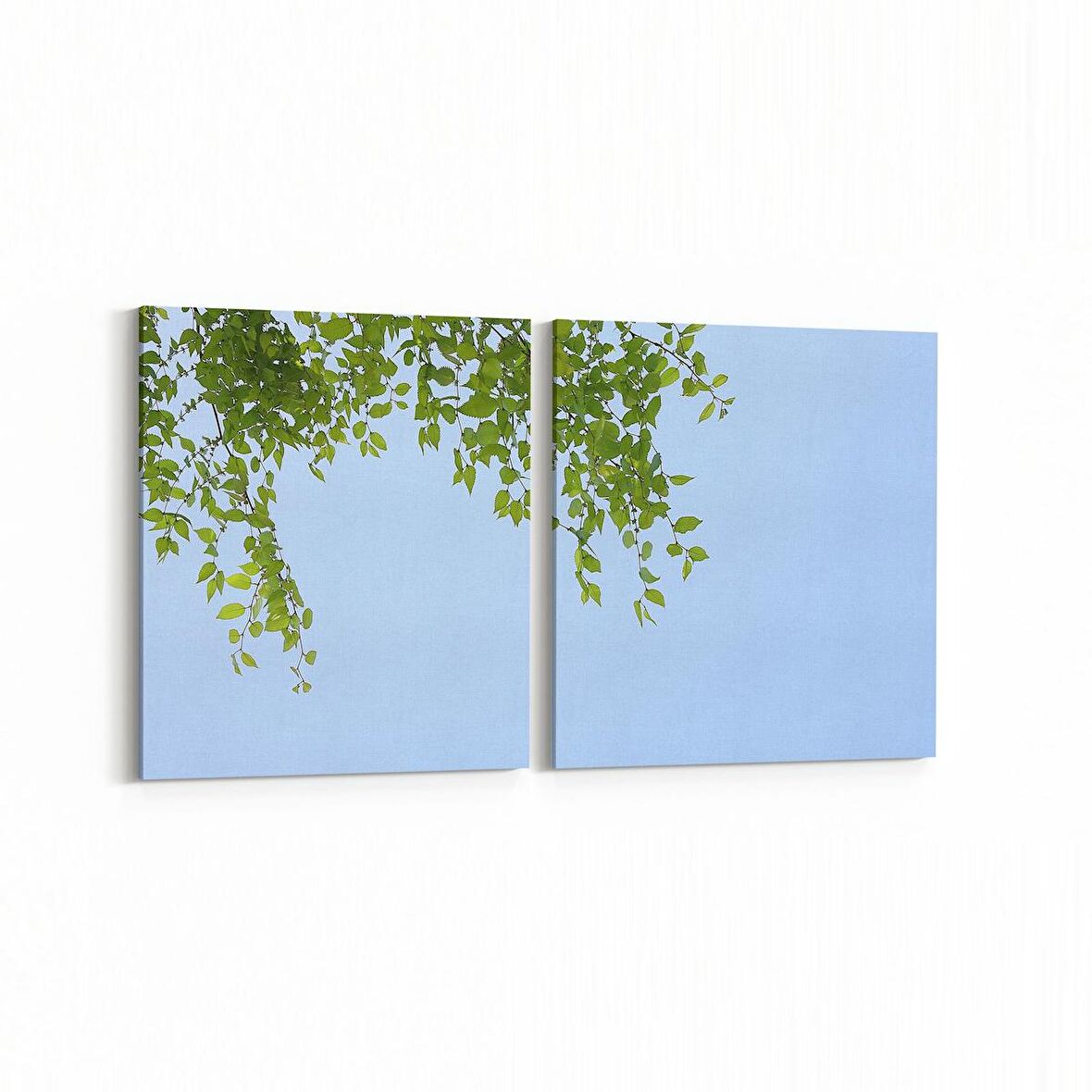 Olla 10959K2Y Ağaç Görseli Kare 2'li Yatay Kanvas Tablo (Ölçü: 145X70)