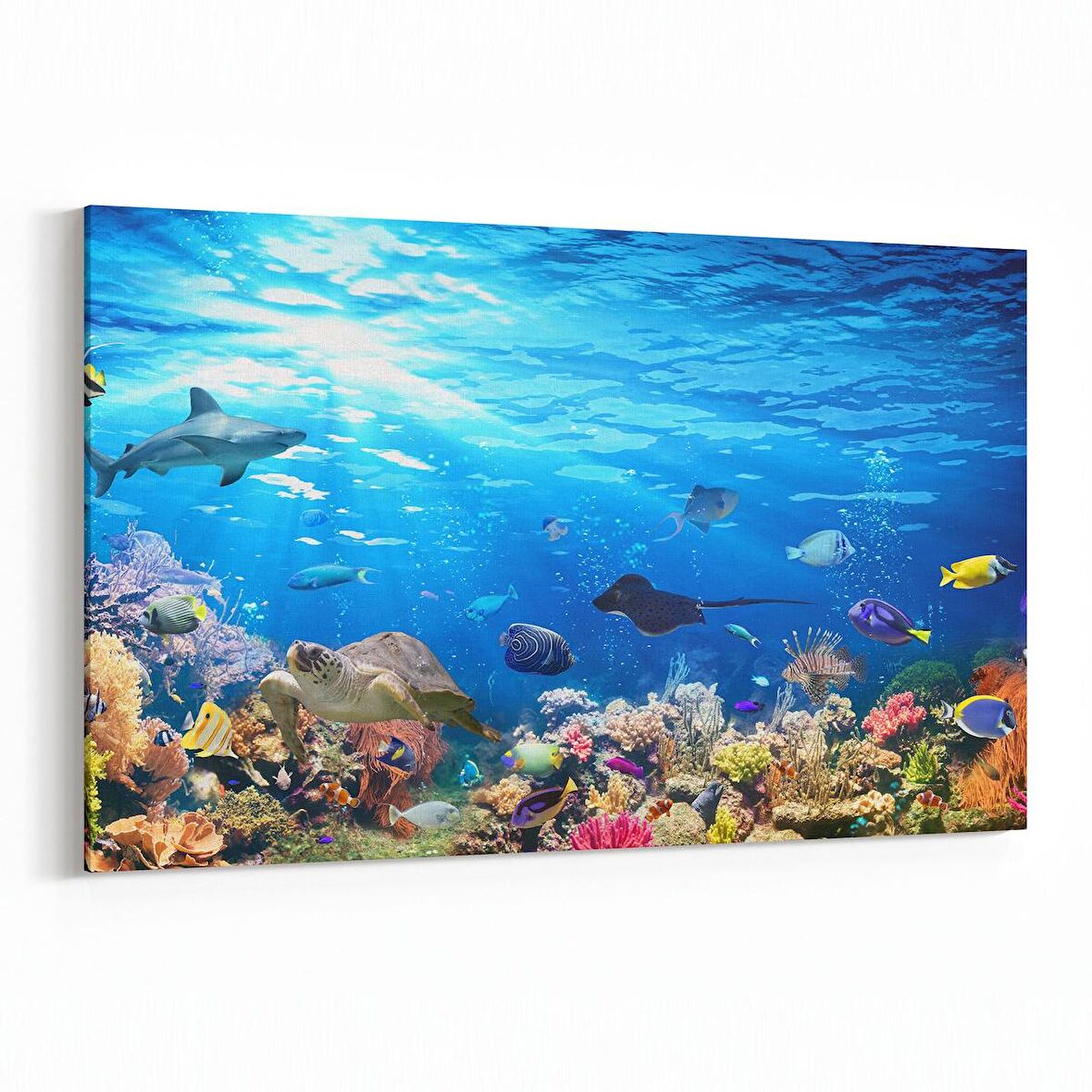 Olla 12062Y Akvaryum / Balık Görseli Yatay Kanvas Tablo (Ölçü: 30X20)