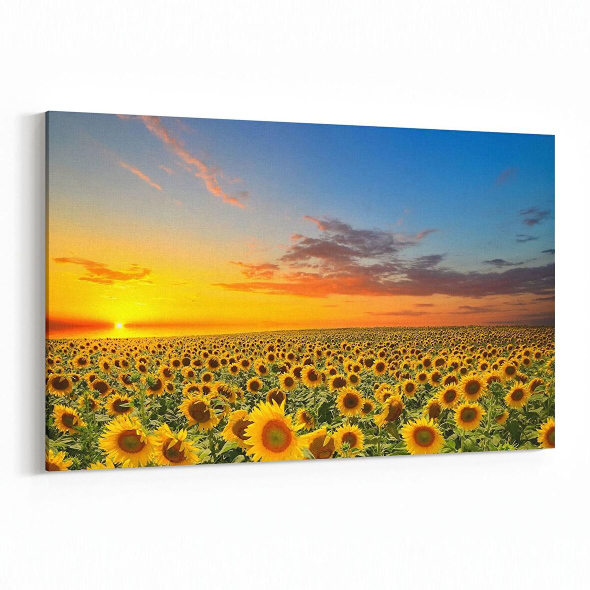 Olla 15972Y Günbatımı Görseli Yatay Kanvas Tablo (Ölçü: 150X100)
