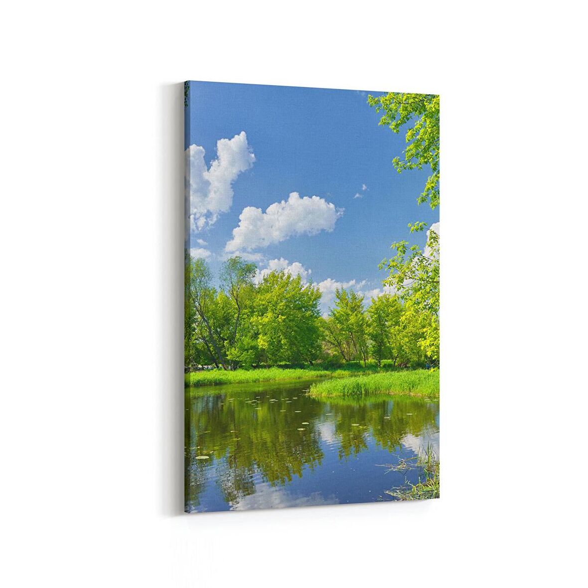 Olla 13351D Doğa / Manzara Görseli Dikey Kanvas Tablo (Ölçü: 60X90)