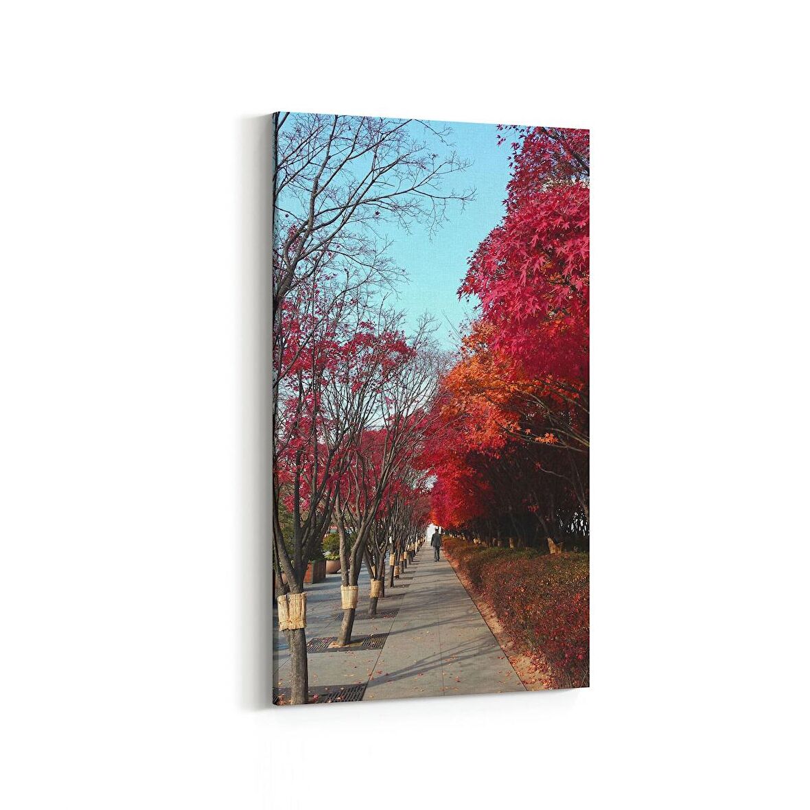 Olla 14525DD Doğa / Manzara Görseli Dikey Dar Kanvas Tablo (Ölçü: 40X80)