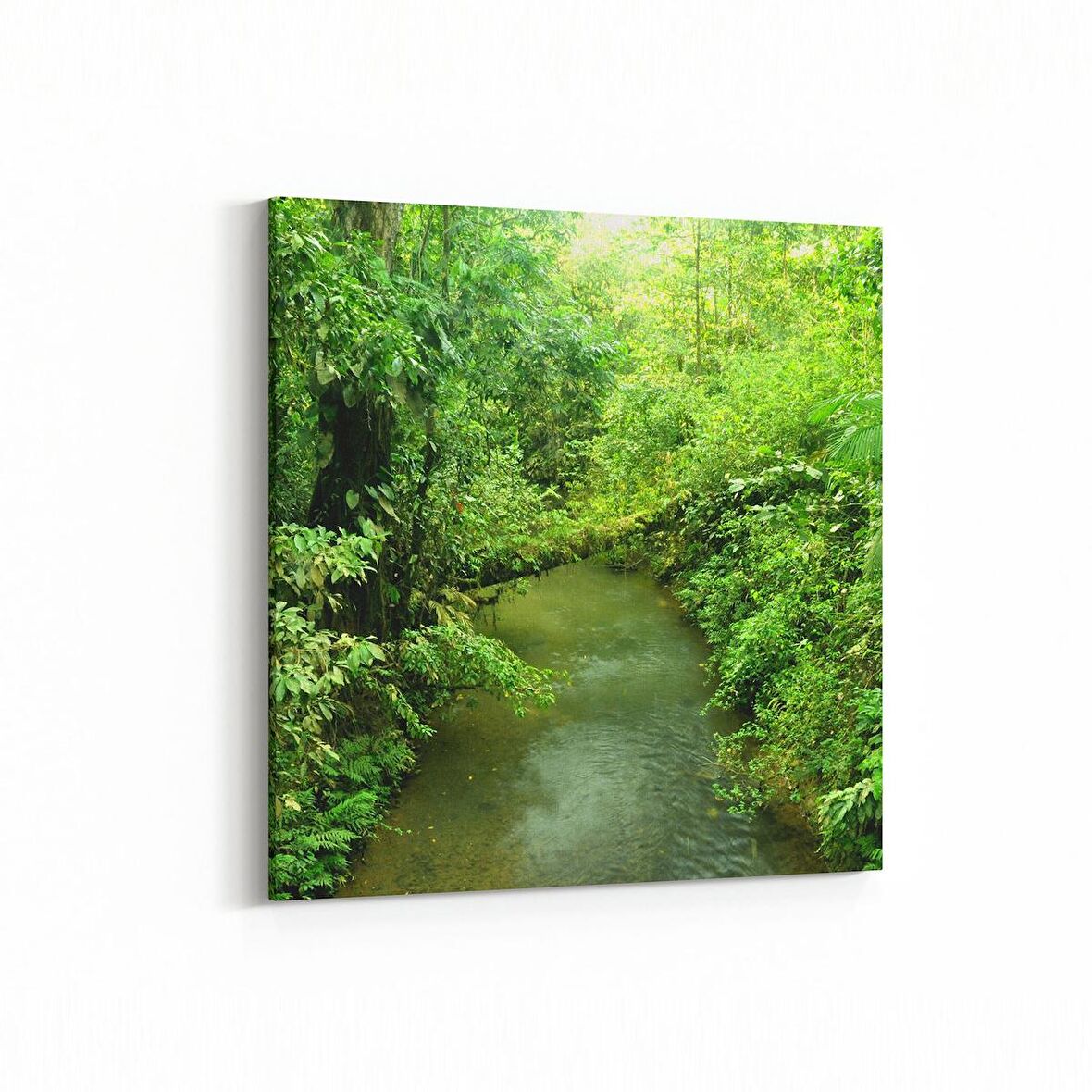 Olla 14283K Doğa / Manzara Görseli Kare Kanvas Tablo (Ölçü: 25X25)