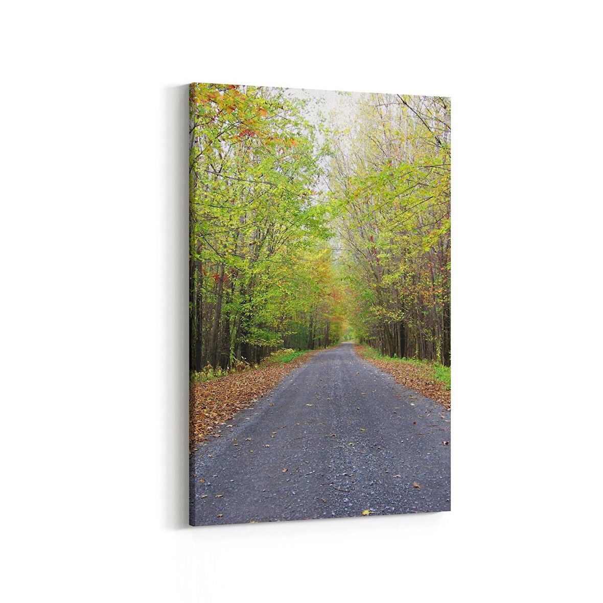 Olla 14411D Doğa / Manzara Görseli Dikey Kanvas Tablo (Ölçü: 60X90)