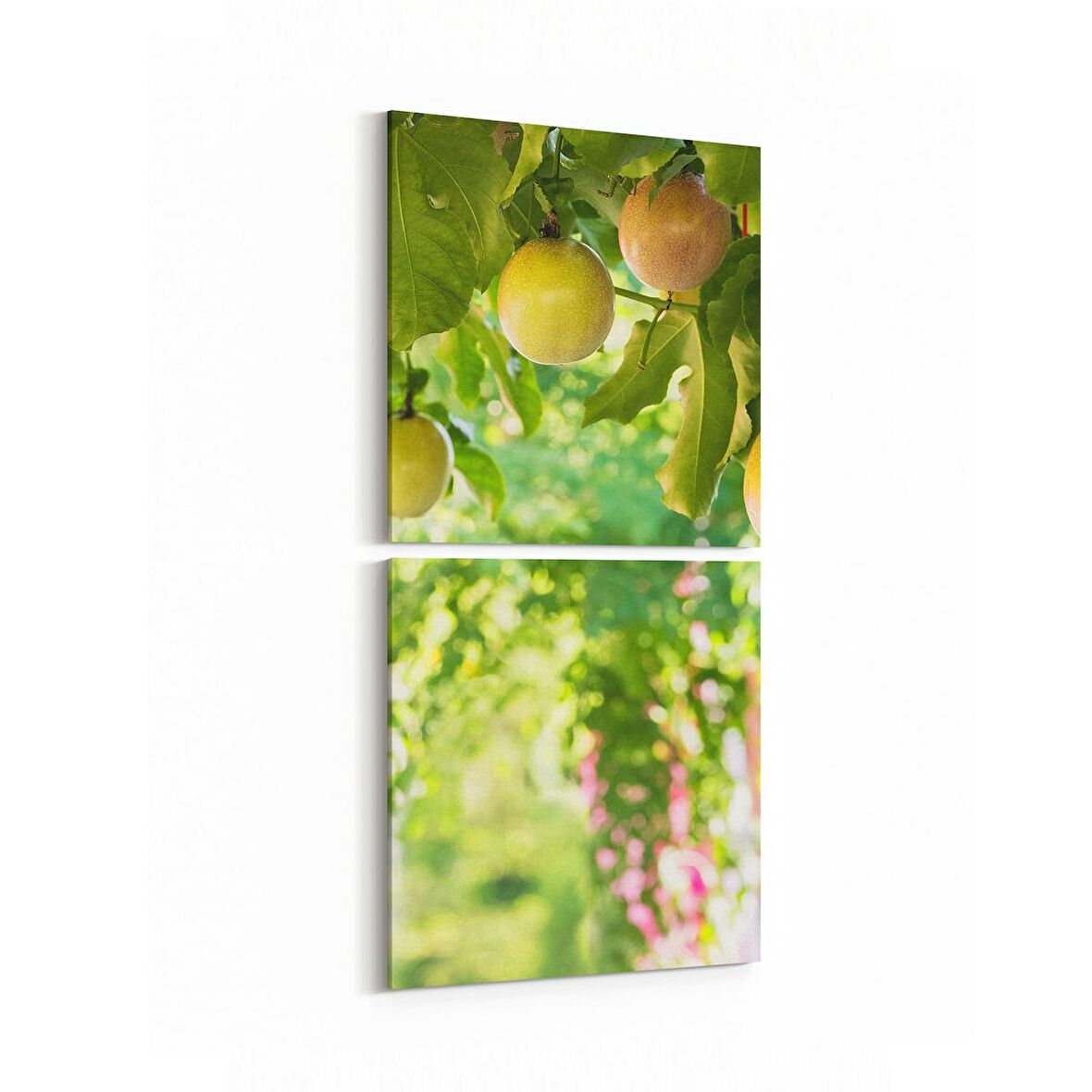 Olla 14962K2D Gıda Görseli 2'li Dikey Kanvas Tablo (Ölçü: 30X65)