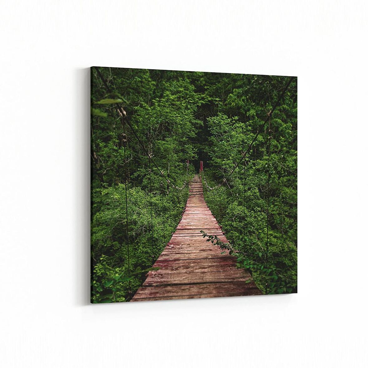 Olla 13862K Doğa / Manzara Görseli Kare Kanvas Tablo (Ölçü: 25X25)