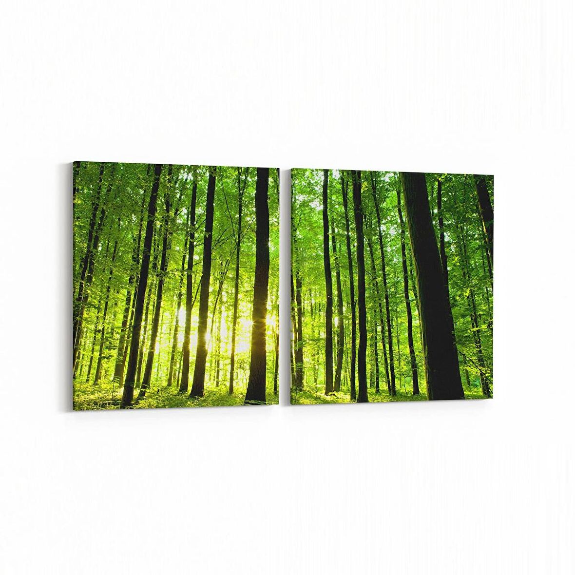 Olla 13250K2Y Doğa / Manzara Görseli Kare 2'li Yatay Kanvas Tablo (Ölçü: 85X40)