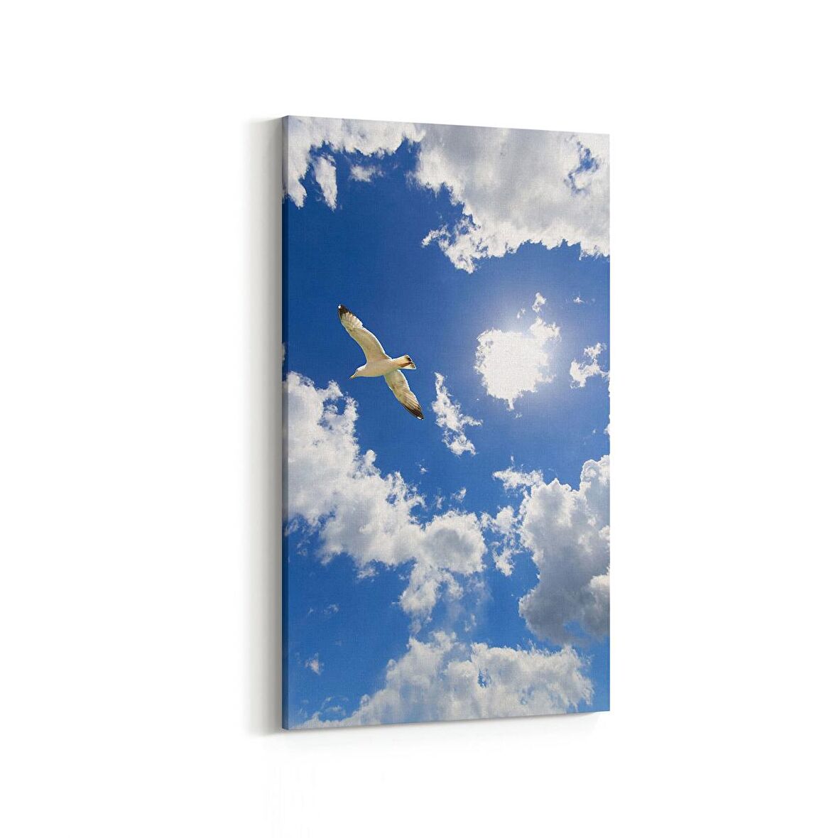 Olla 15831DD Gökyüzü Kuşlar Görseli Dikey Dar Kanvas Tablo (Ölçü: 30X60)