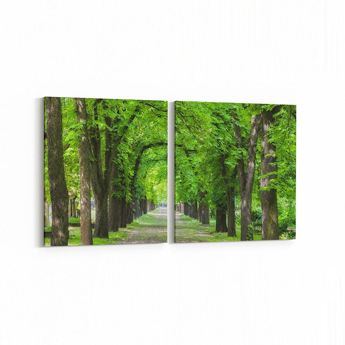 Olla 14389K2Y Doğa / Manzara Görseli Kare 2'li Yatay Kanvas Tablo (Ölçü: 125X60)