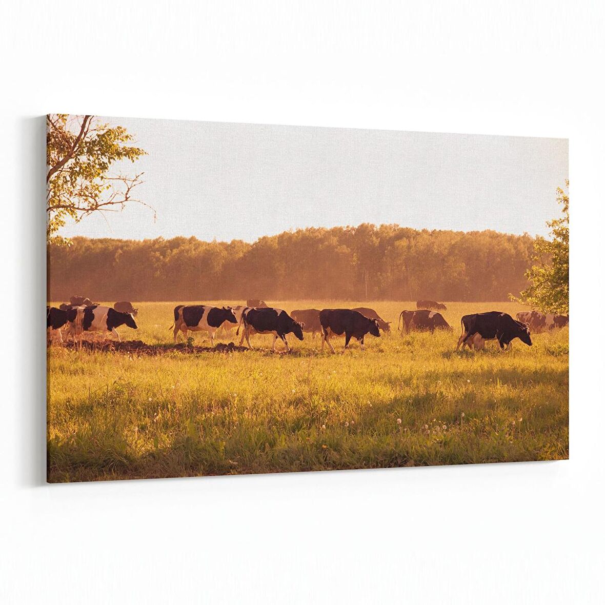 Olla 12645Y Hayvanlar Alemi Görseli Yatay Kanvas Tablo (Ölçü: 70X50)