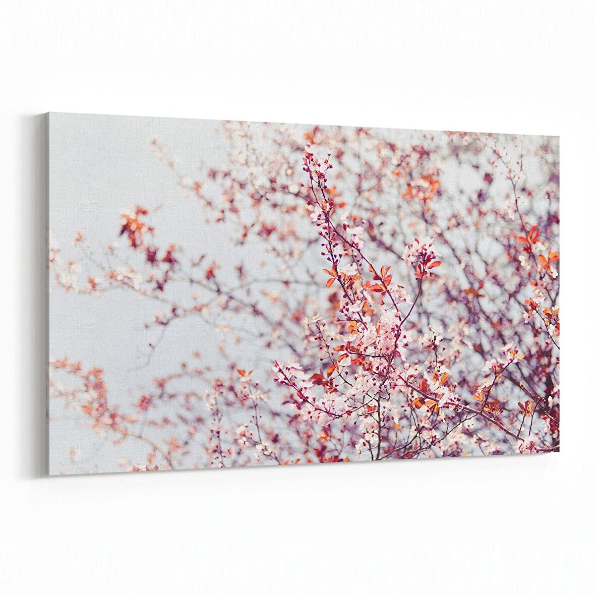 Olla 11059Y Ağaç Görseli Yatay Kanvas Tablo (Ölçü: 90X60)