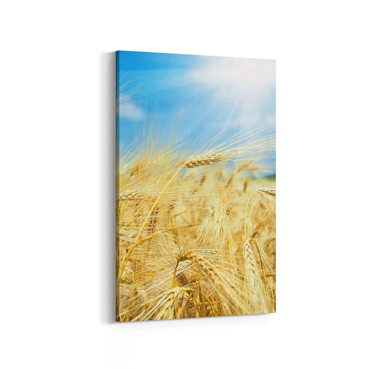 Olla 13893D Doğa / Manzara Görseli Dikey Kanvas Tablo (Ölçü: 80X120)