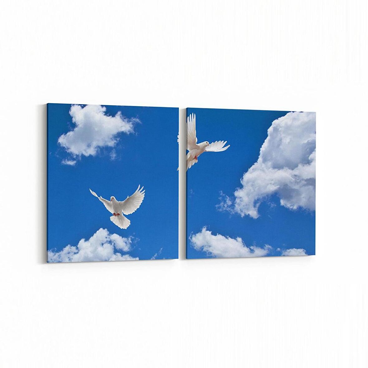 Olla 15836K2Y Gökyüzü Kuşlar Görseli Kare 2'li Yatay Kanvas Tablo (Ölçü: 65X30)