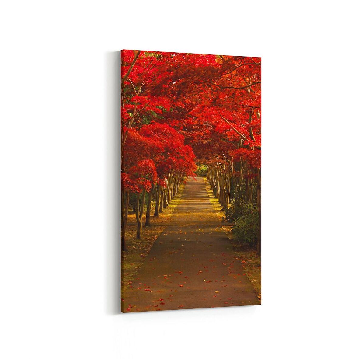 Olla 13956DD Doğa / Manzara Görseli Dikey Dar Kanvas Tablo (Ölçü: 30X60)