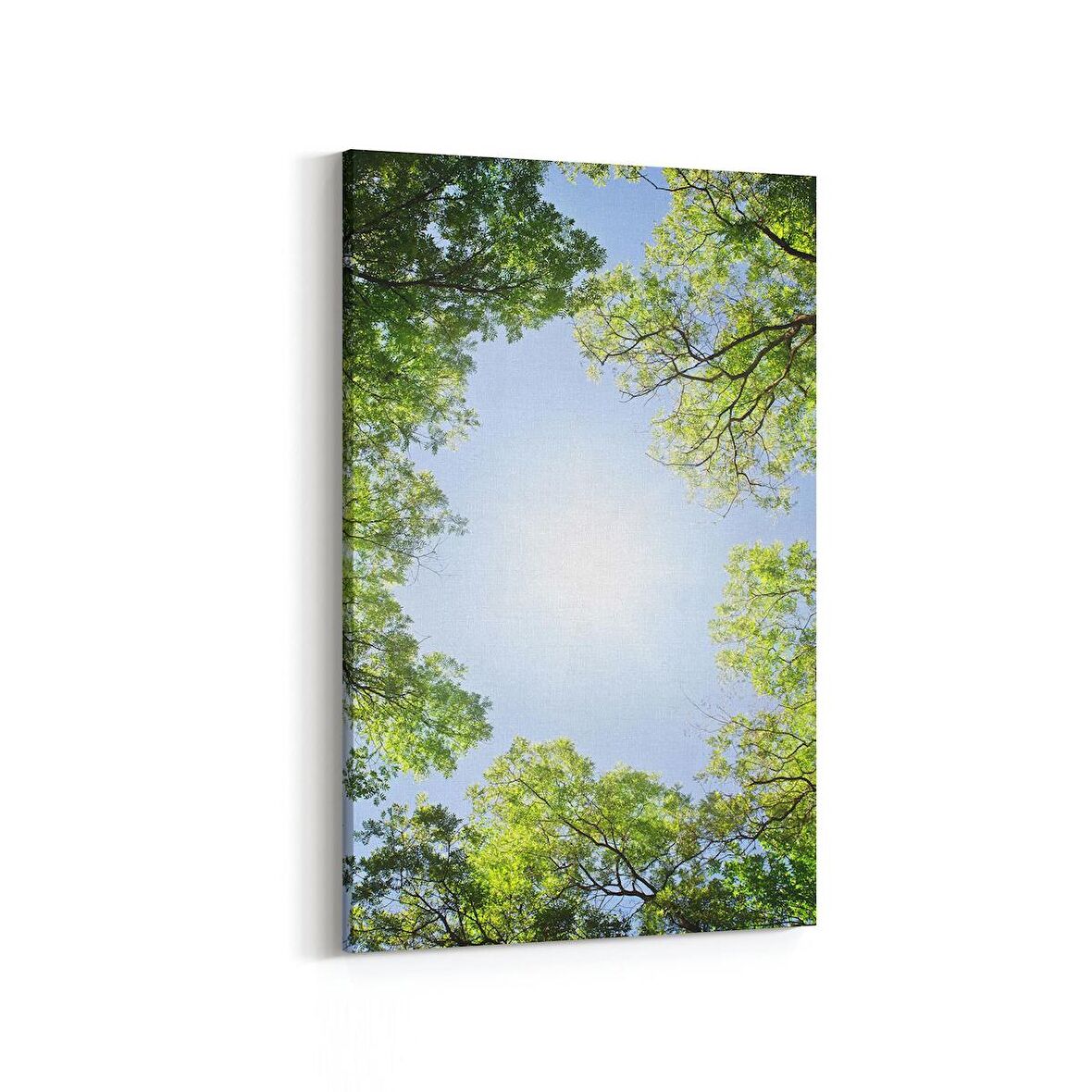 Olla 10702D Ağaç Görseli Dikey Kanvas Tablo (Ölçü: 100X150)