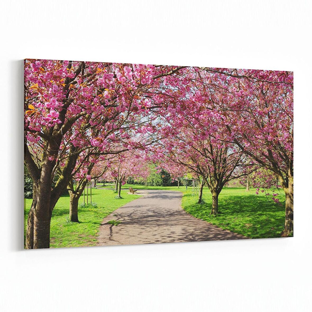 Olla 13550Y Doğa / Manzara Görseli Yatay Kanvas Tablo (Ölçü: 90X60)