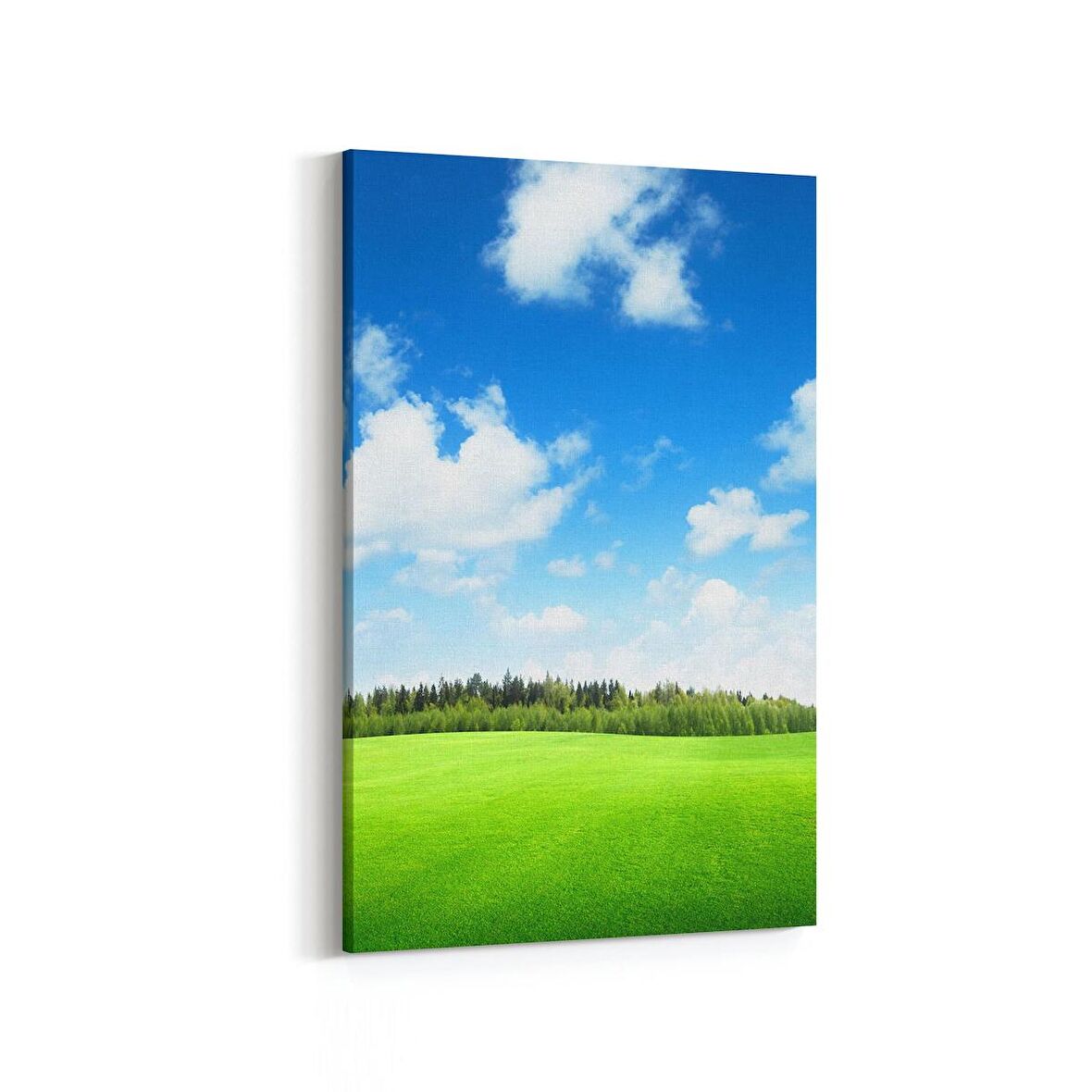 Olla 14615D Doğa / Manzara Görseli Dikey Kanvas Tablo (Ölçü: 100X150)