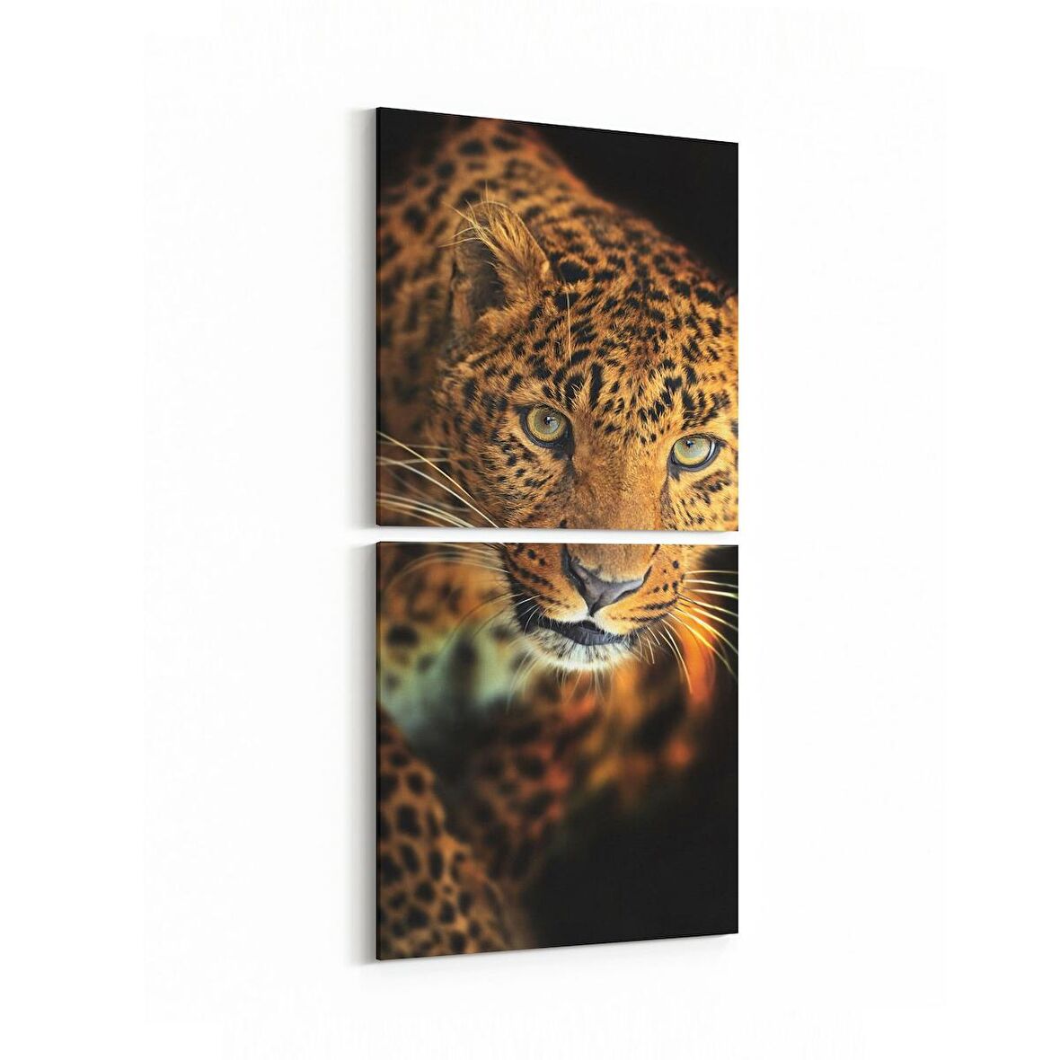 Olla 12511K2D Hayvanlar Alemi Görseli Kare 2'li Dikey Kanvas Tablo (Ölçü: 30X65)