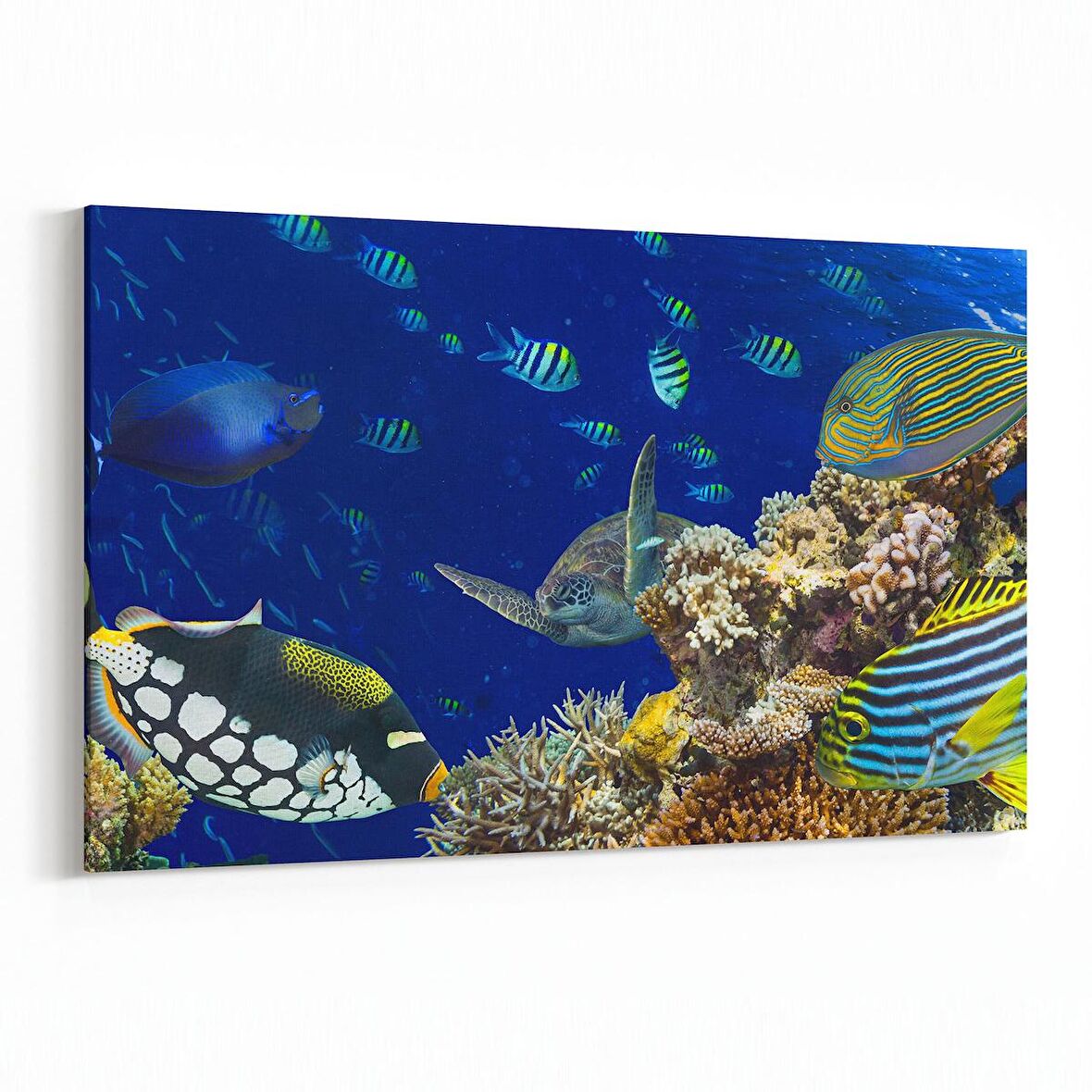 Olla 12167Y Akvaryum / Balık Görseli Yatay Kanvas Tablo (Ölçü: 90X60)