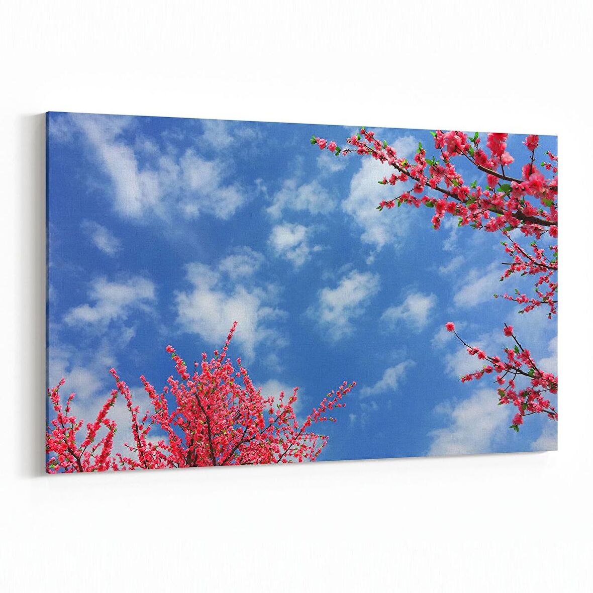 Olla 10940Y Ağaç Görseli Yatay Kanvas Tablo (Ölçü: 120X80)