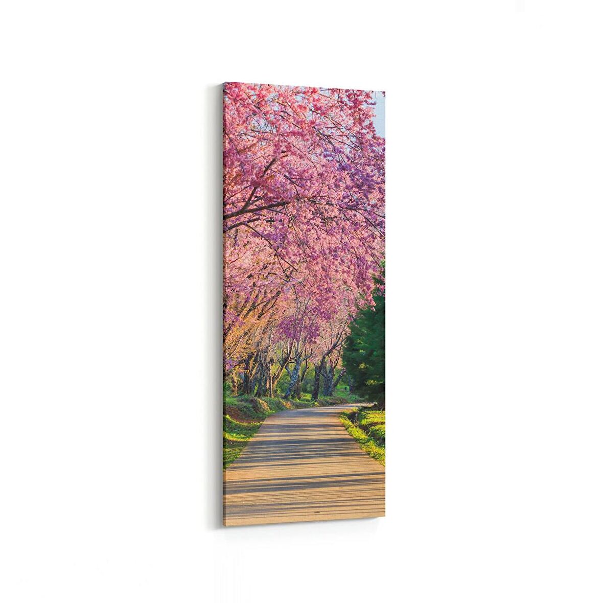 Olla 13984DI Doğa / Manzara Görseli Dikey İnce Kanvas Tablo (Ölçü: 40X120)