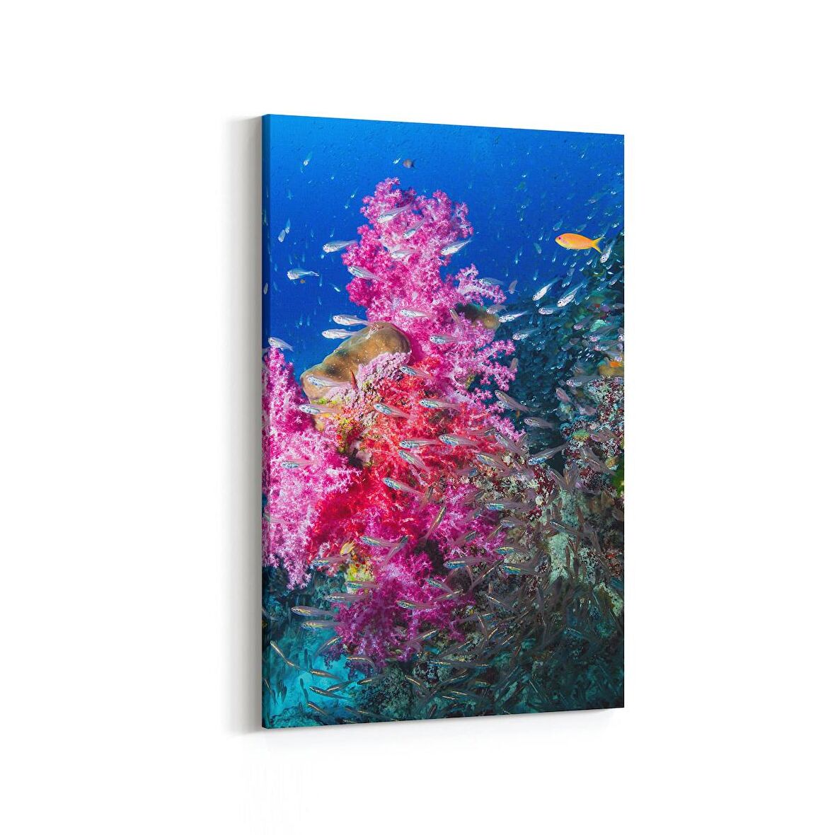 Olla 12104D Akvaryum / Balık Görseli Dikey Kanvas Tablo (Ölçü: 100X150)