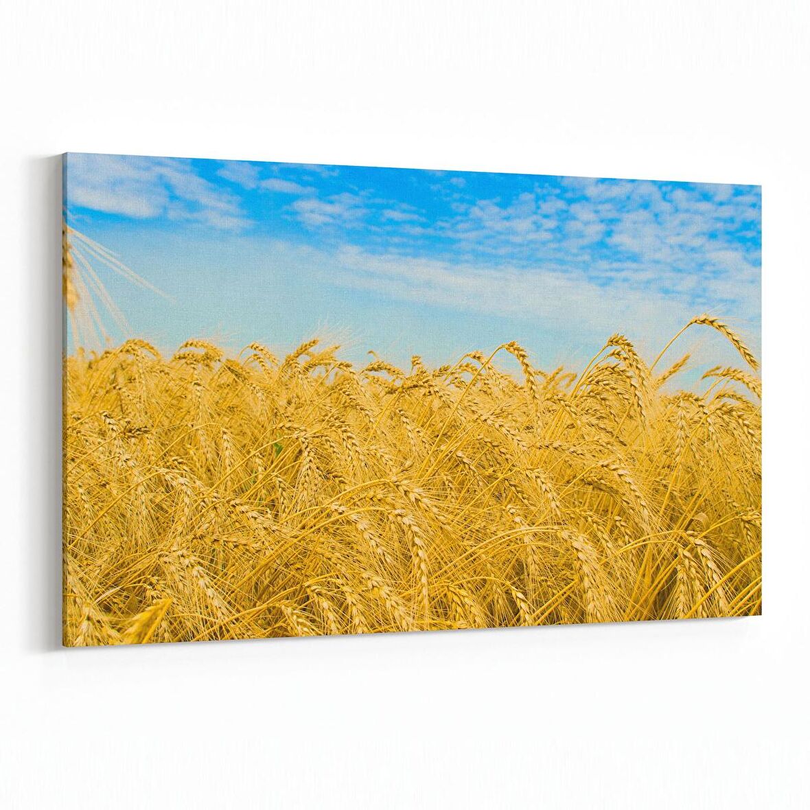 Olla 13799Y Doğa / Manzara Görseli Yatay Kanvas Tablo (Ölçü: 45X30)