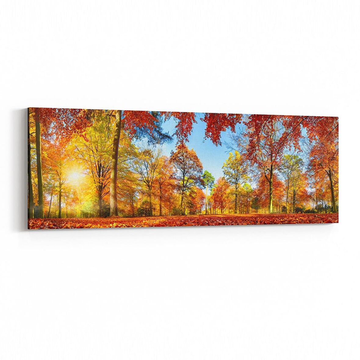 Olla 14116YI Doğa / Manzara Görseli Yatay İnce Kanvas Tablo (Ölçü: 90X30)