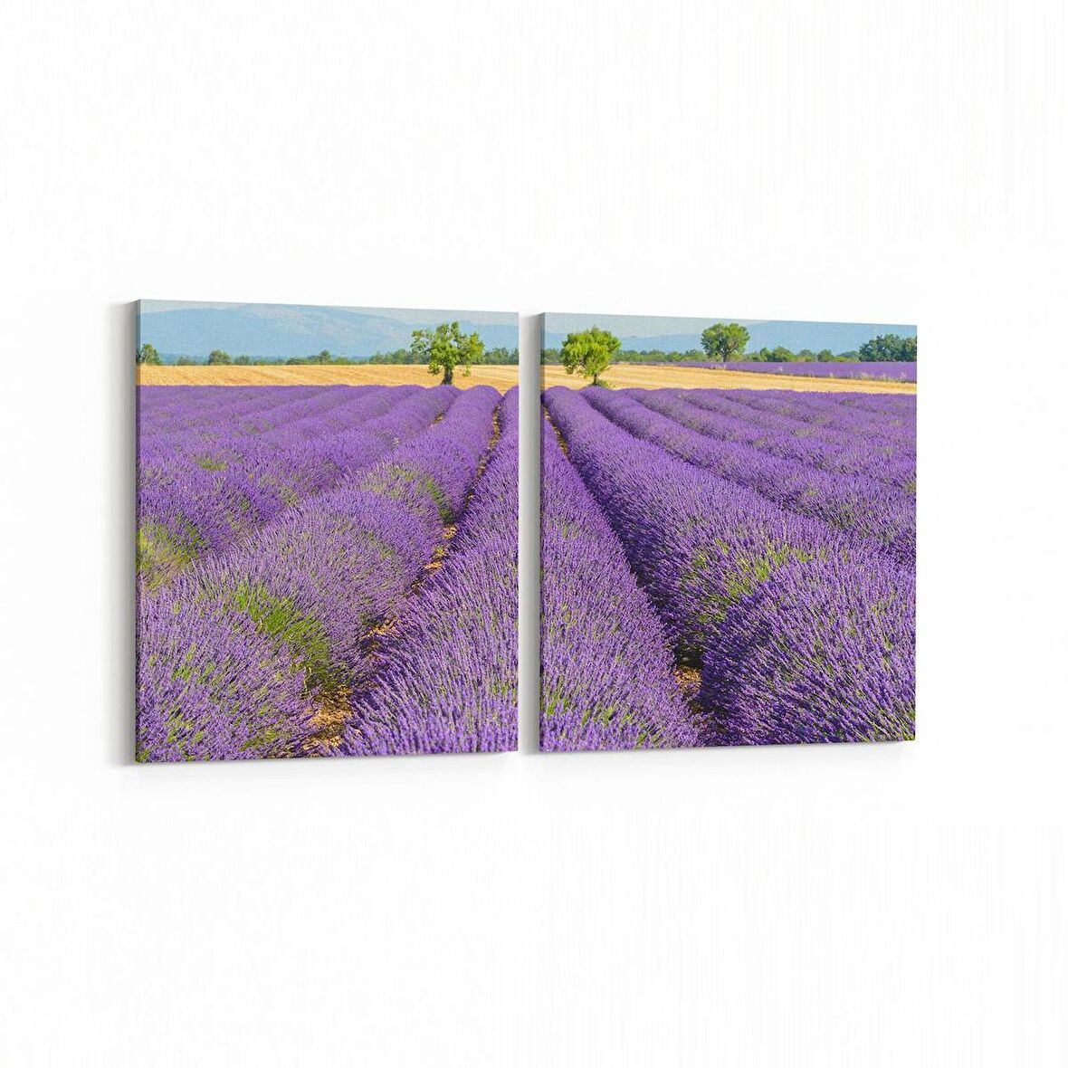 Olla 14110K2Y Doğa / Manzara Görseli Kare 2'li Yatay Kanvas Tablo (Ölçü: 125X60)