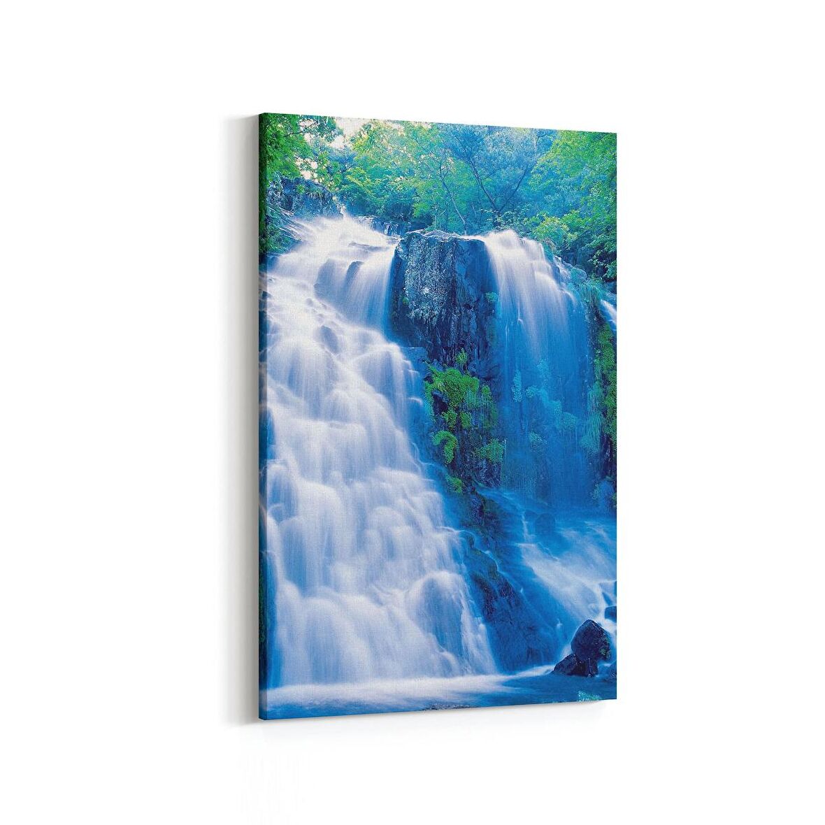 Olla 13613D Doğa / Manzara Görseli Dikey Kanvas Tablo (Ölçü: 60X90)