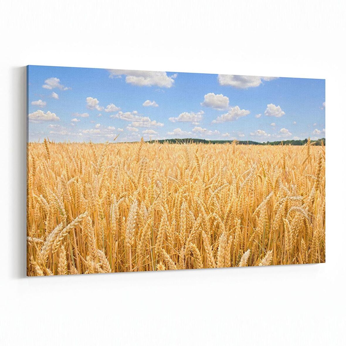 Olla 14284Y Doğa / Manzara Görseli Yatay Kanvas Tablo (Ölçü: 150X100)