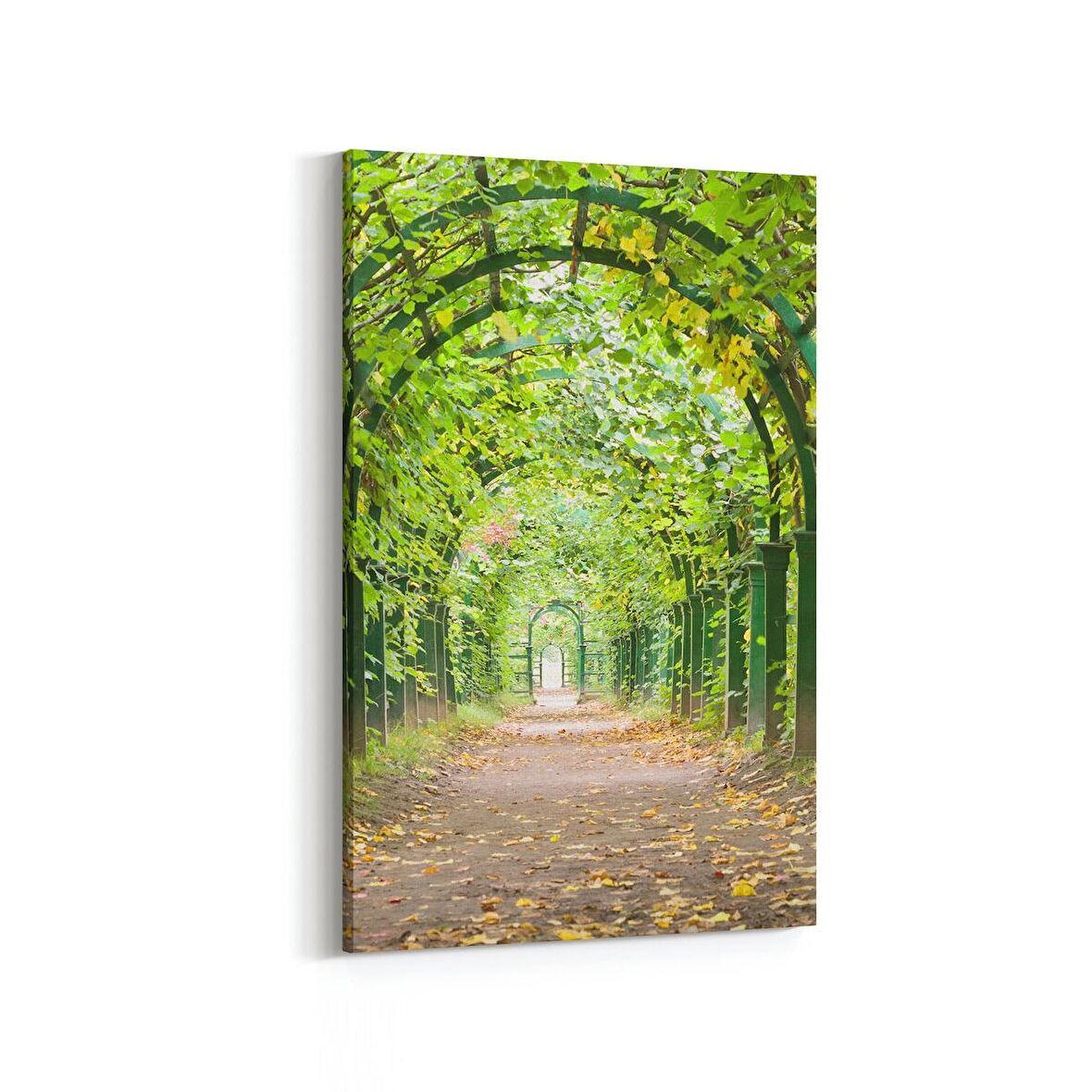 Olla 13281D Doğa / Manzara Görseli Dikey Kanvas Tablo (Ölçü: 60X90)