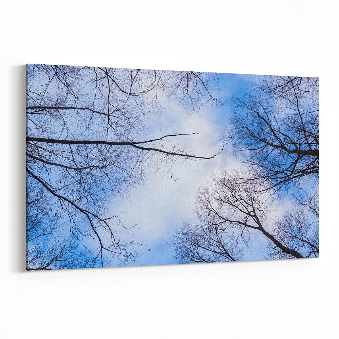 Olla 10562Y Ağaç Görseli Yatay Kanvas Tablo (Ölçü: 30X20)