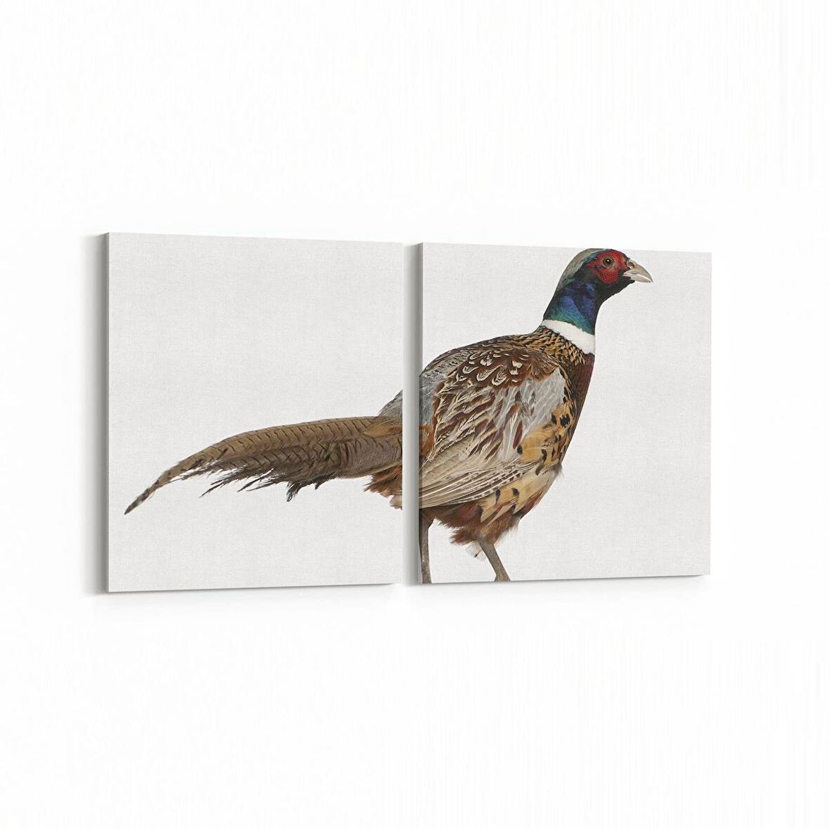 Olla 12461K2Y Hayvanlar Alemi Görseli Kare 2'li Yatay Kanvas Tablo (Ölçü: 65X30)