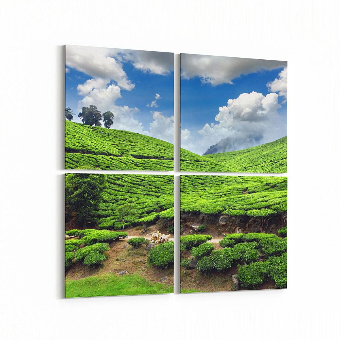 Olla 14545K4 Doğa / Manzara Görseli Kare 4'lü Kanvas Tablo (Ölçü: 145X145)