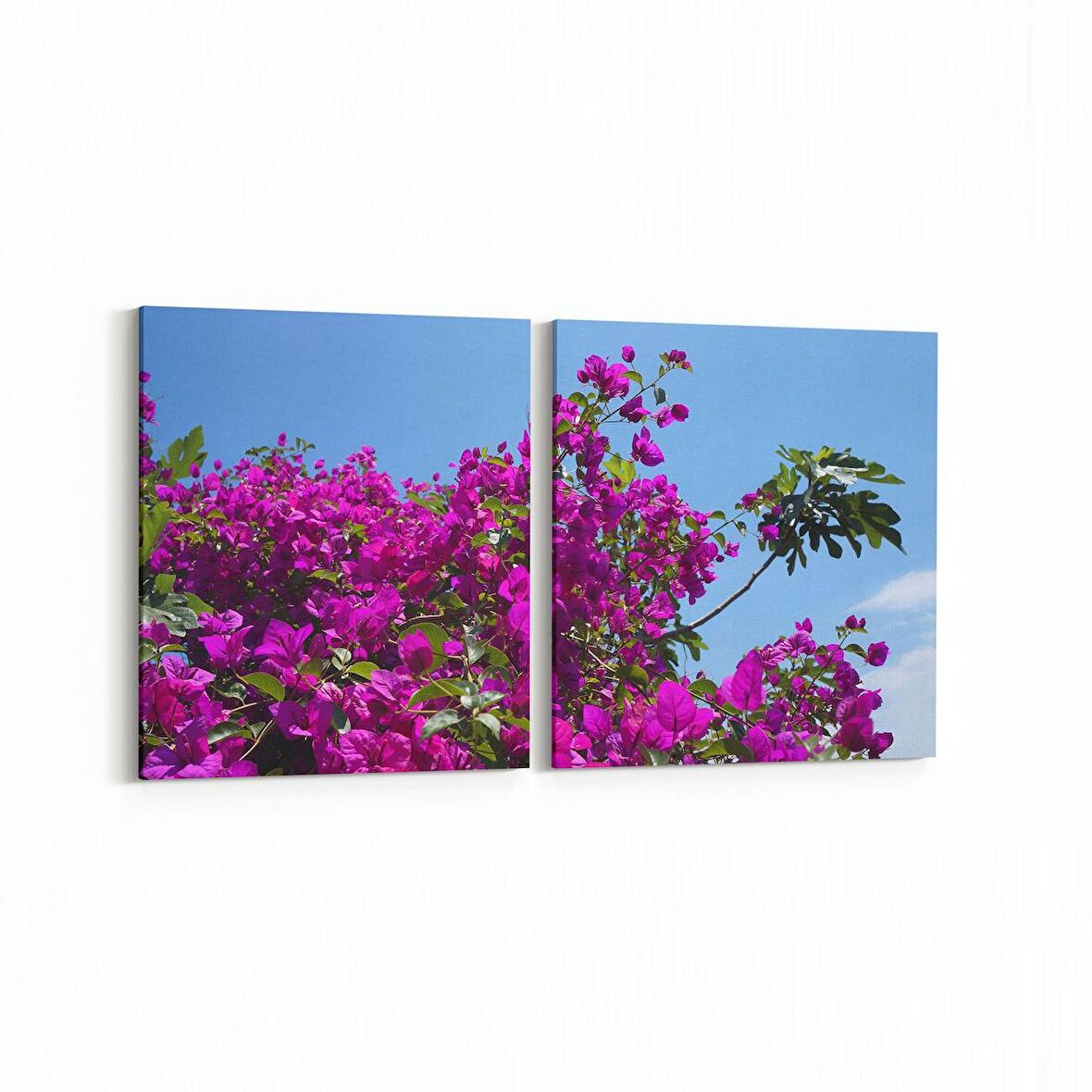 Olla 10997K2Y Ağaç Görseli Kare 2'li Yatay Kanvas Tablo (Ölçü: 145X70)