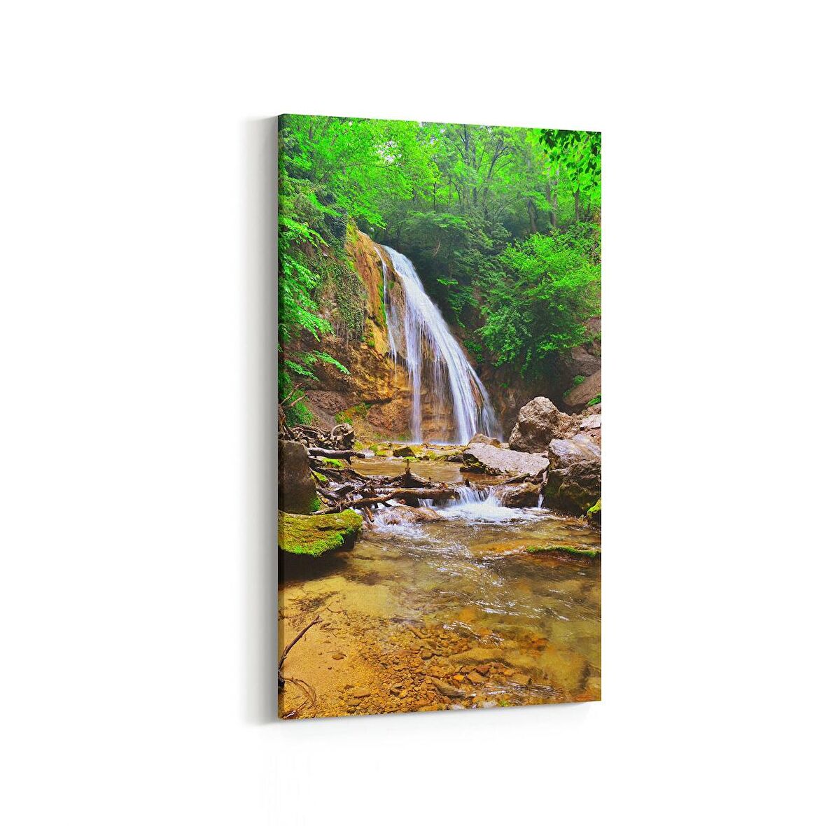 Olla 13191DD Doğa / Manzara Görseli Dikey Dar Kanvas Tablo (Ölçü: 40X80)