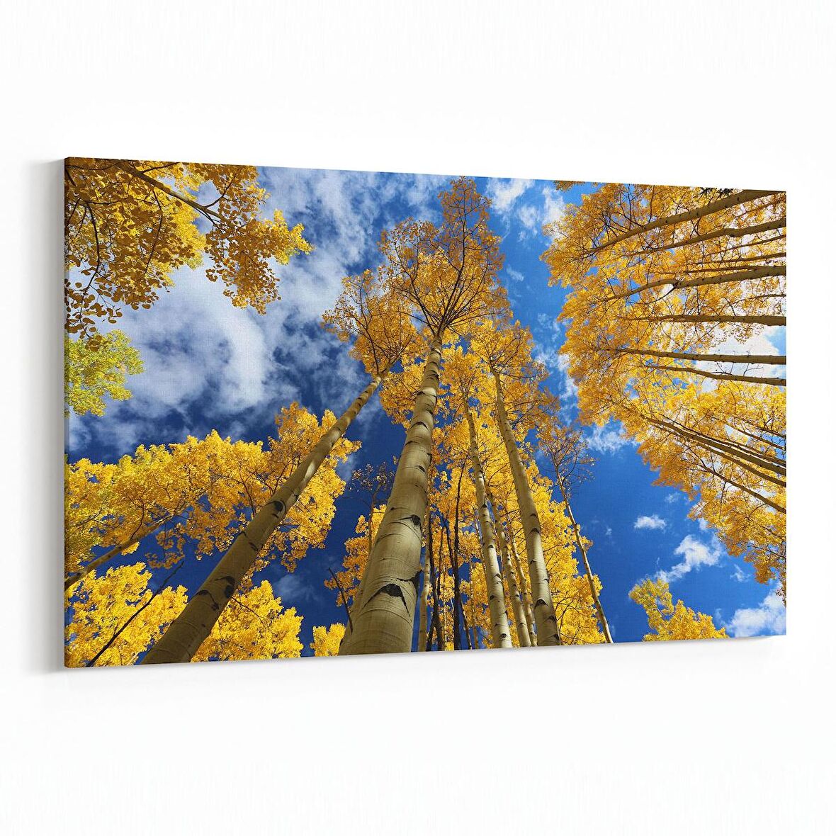 Olla 10828Y Ağaç Görseli Yatay Kanvas Tablo (Ölçü: 30X20)