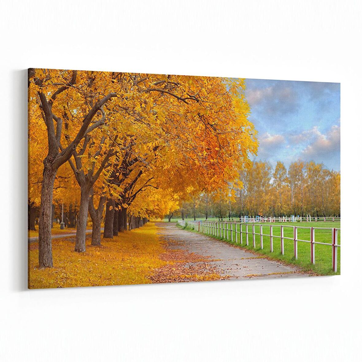 Olla 14413Y Doğa / Manzara Görseli Yatay Kanvas Tablo (Ölçü: 30X20)