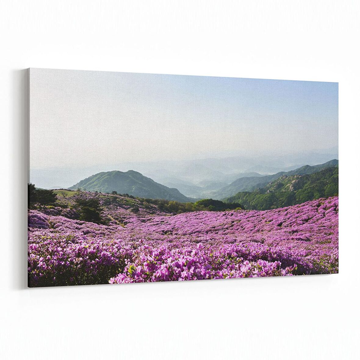 Olla 14397Y Doğa / Manzara Görseli Yatay Kanvas Tablo (Ölçü: 30X20)