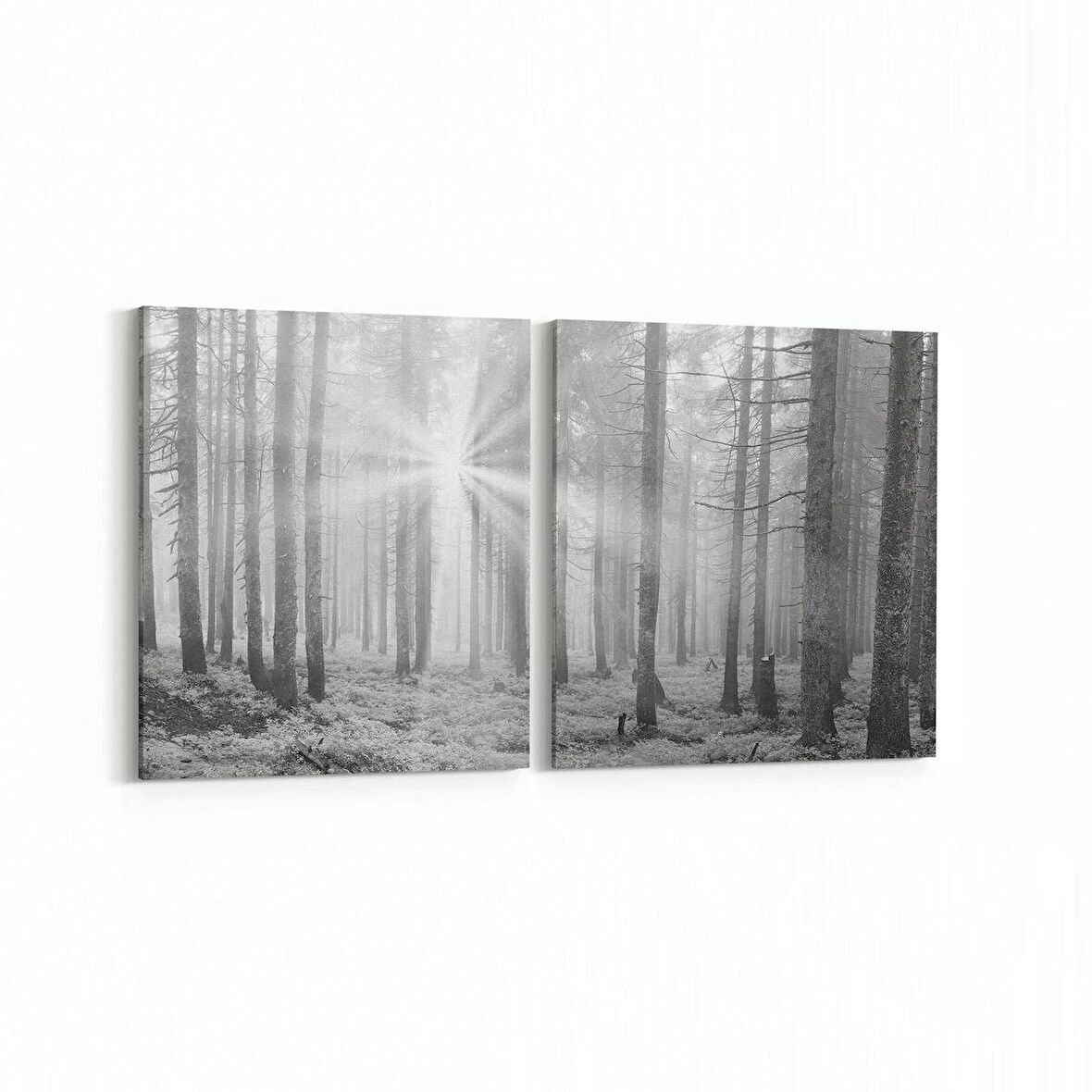 Olla 13760K2Y Doğa / Manzara Görseli Kare 2'li Yatay Kanvas Tablo (Ölçü: 105X50)