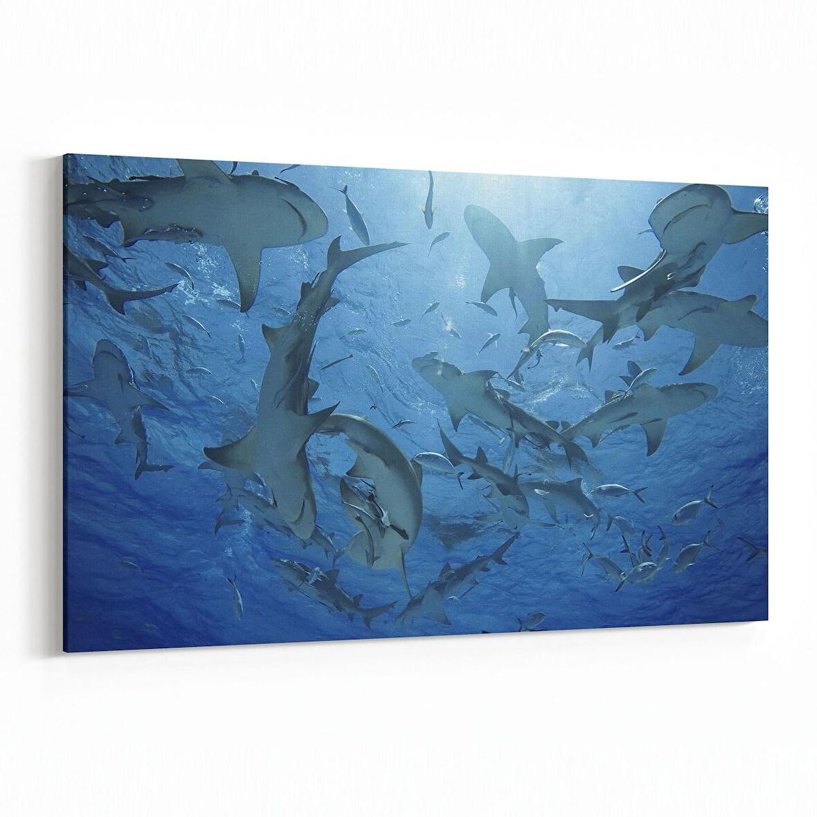 Olla 12936Y Deniz / Okyanus Görseli Yatay Kanvas Tablo (Ölçü: 30X20)