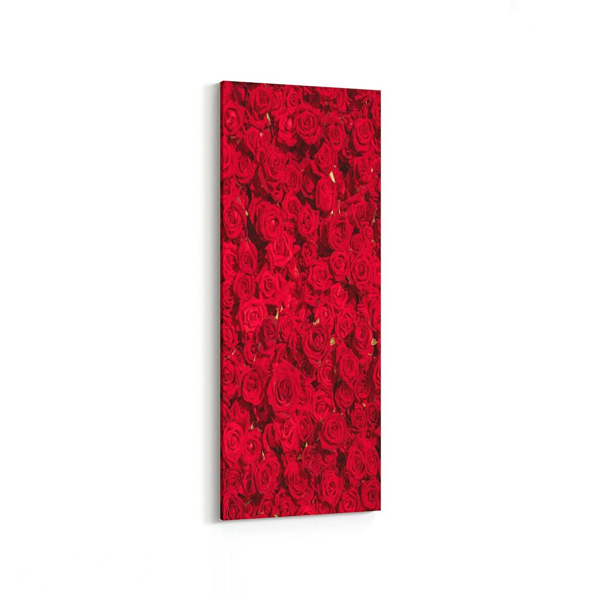 Olla 11639DI Çiçek Görseli Dikey İnce Kanvas Tablo (Ölçü: 40X120)