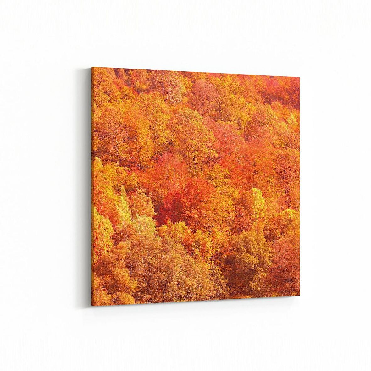 Olla 14303K Doğa / Manzara Görseli Kare Kanvas Tablo (Ölçü: 25X25)