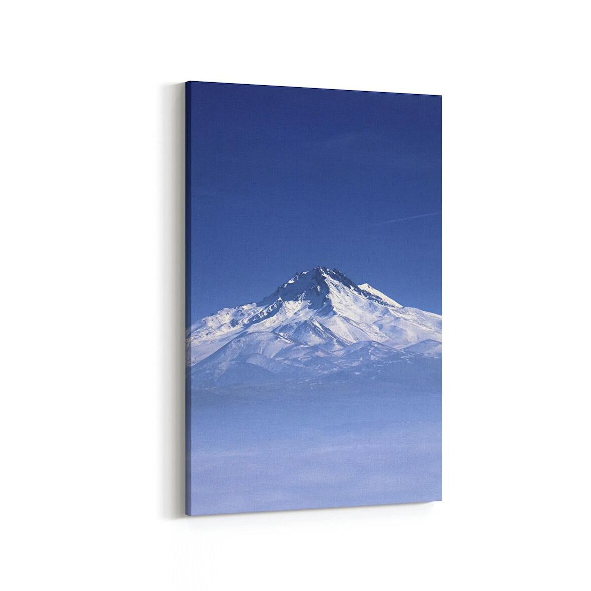 Olla 13939D Doğa / Manzara Görseli Dikey Kanvas Tablo (Ölçü: 70X105)