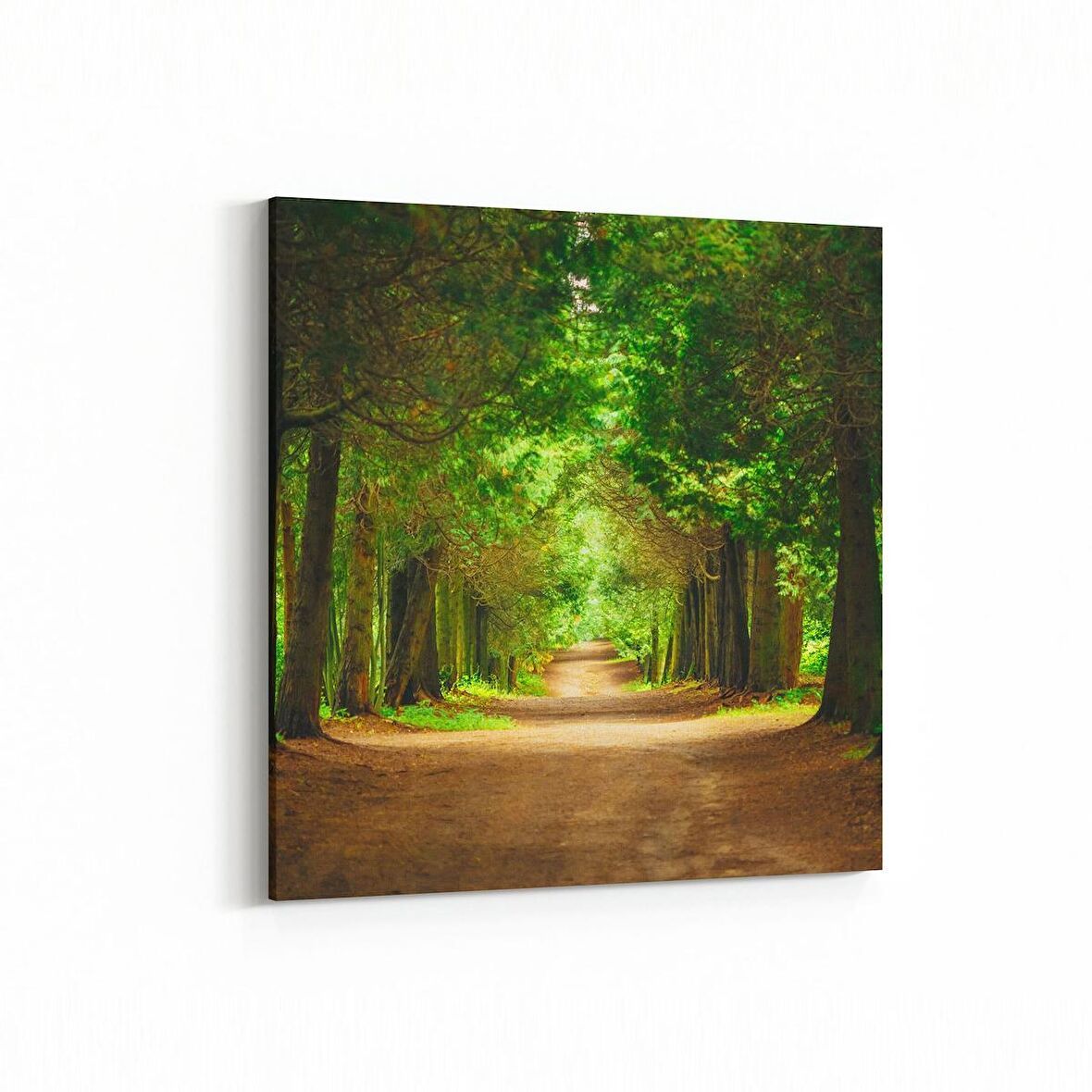 Olla 13793K Doğa / Manzara Görseli Kare Kanvas Tablo (Ölçü: 25X25)