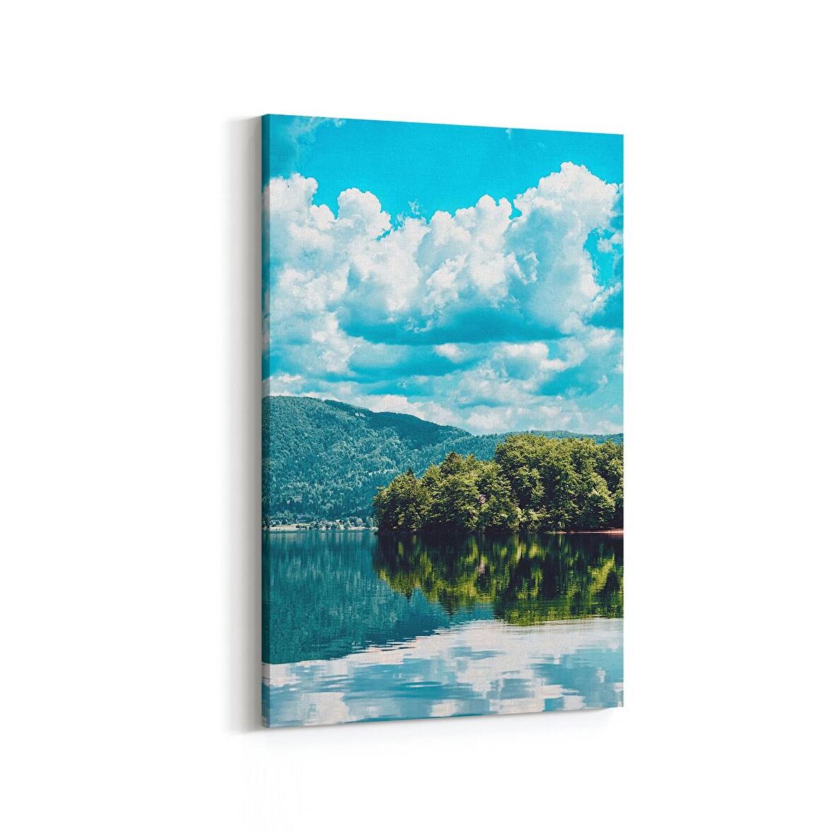 Olla 13556D Doğa / Manzara Görseli Dikey Kanvas Tablo (Ölçü: 60X90)
