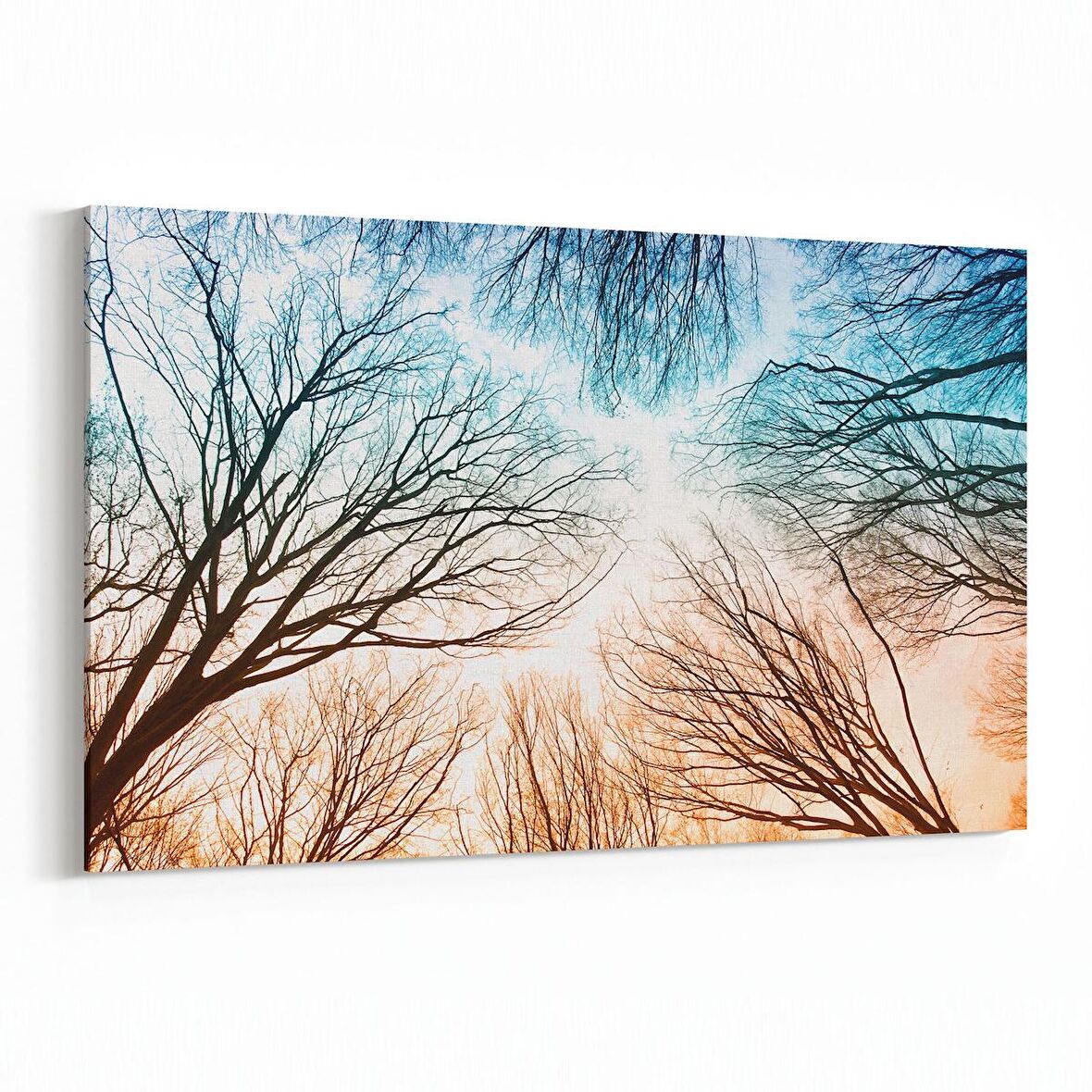 Olla 10979Y Ağaç Görseli Yatay Kanvas Tablo (Ölçü: 90X60)
